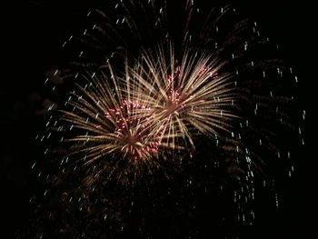 Low angle view of firework display at night