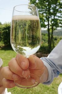 Close-up of cropped hand holding glass