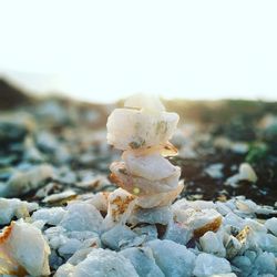 Close-up of stones on rock