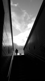 Low angle view of silhouette person with dog walking on steps