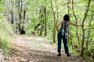 Rear view of woman leaning against tree stem in forest