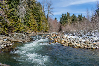 Scenic view of river flowing in forest against sky