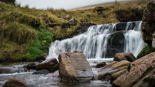 Scenic view of waterfall in forest