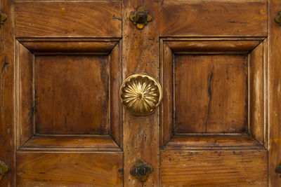 Front view of a vintage brown wooden door with round ornate brass knob