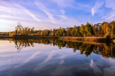 Reflection of trees in lake against sky