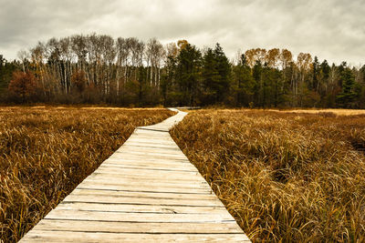 Boardwalk leading towards trees against sky