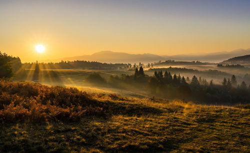 Sunrise in the carpathian mountains.