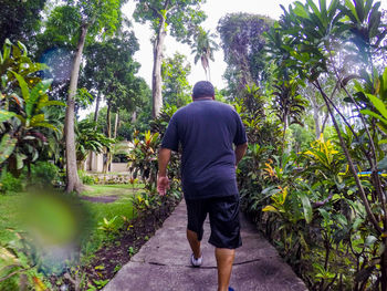 Rear view of man walking on palm trees