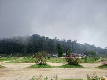 Scenic view of grassy field against sky