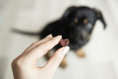 Close-up of hand holding ice cream