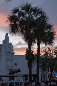 Silhouette of palm trees at sunset