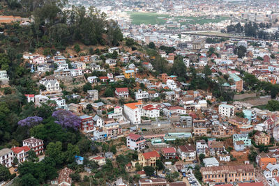 High angle view of townscape and trees in town