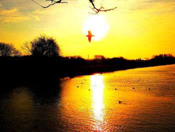 Silhouette bird flying over lake against orange sky