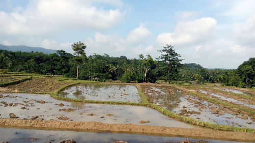 Scenic view of landscape against cloudy sky