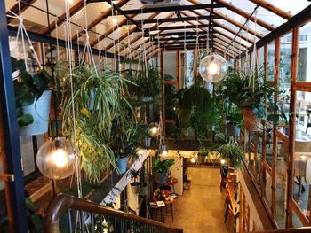Illuminated lights hanging from ceiling at restaurant