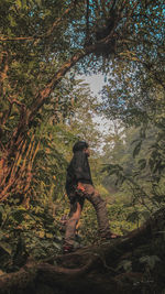 Man standing by tree in forest