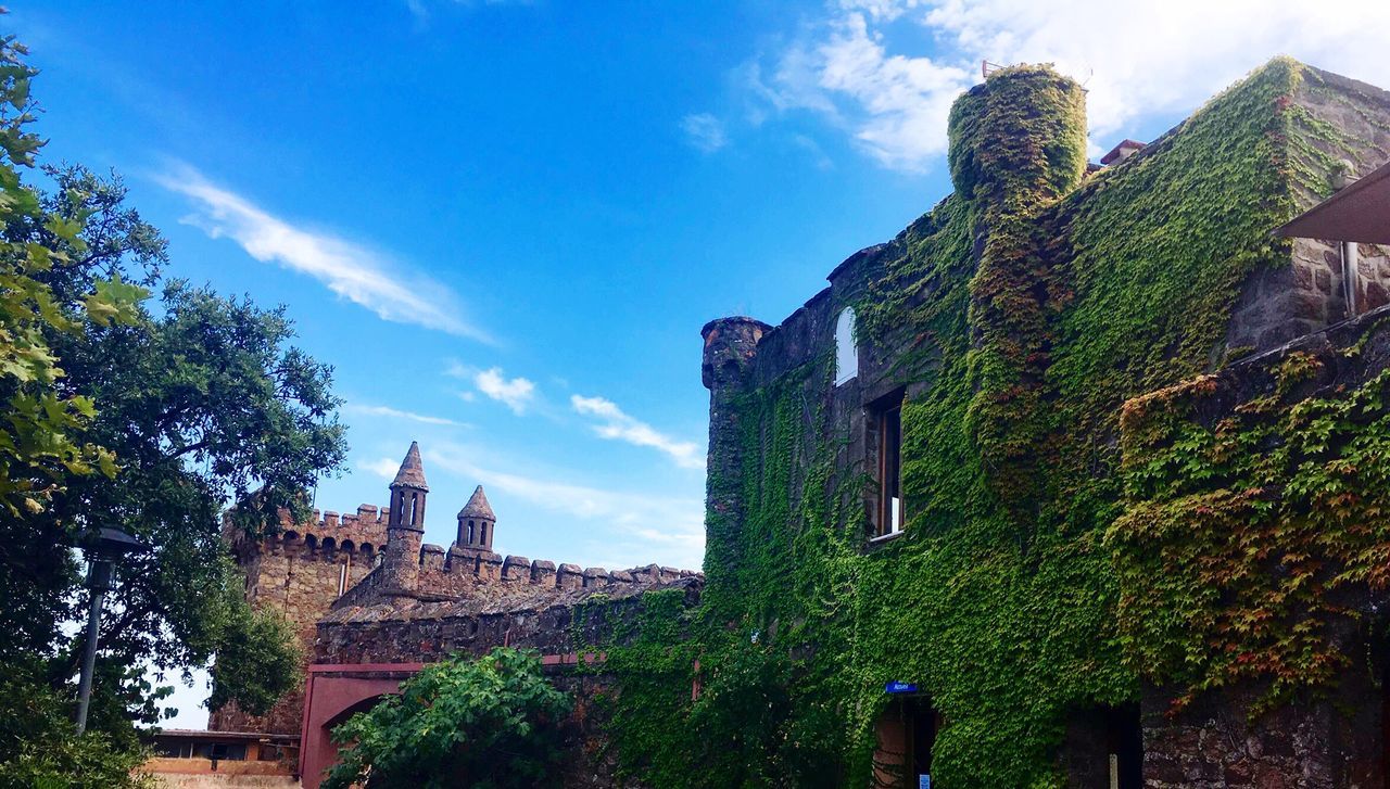 history, architecture, sky, low angle view, built structure, the past, day, building exterior, cloud - sky, tree, no people, outdoors, old ruin, green color, travel destinations, ancient, ancient civilization, nature