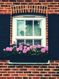 Flower window on brick wall