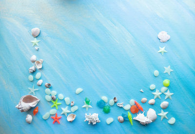 High angle view of shells on blue background