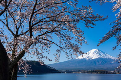 Scenic view of lake by snowcapped mountains against sky