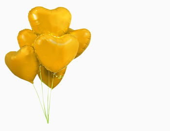 Close-up of yellow rose against white background