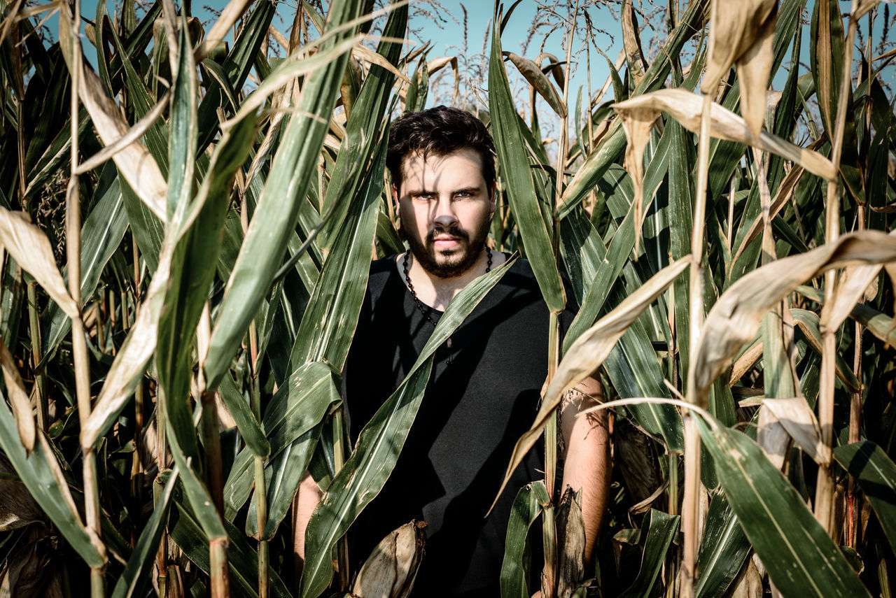 cereal plant, growth, one person, crop, field, agriculture, plant, young adult, waist up, nature, front view, day, real people, outdoors, one young man only, rural scene, maze, young men, standing, adults only, headshot, one man only, ear of wheat, wheat, grass, only men, people, adult, close-up