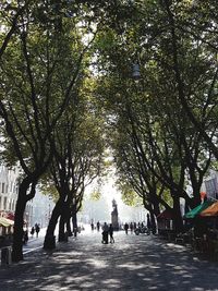 Man walking on tree in city