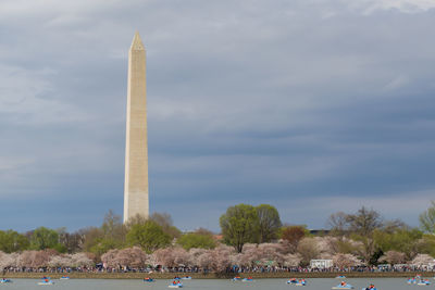 Tidal basin  - cherry blossoms