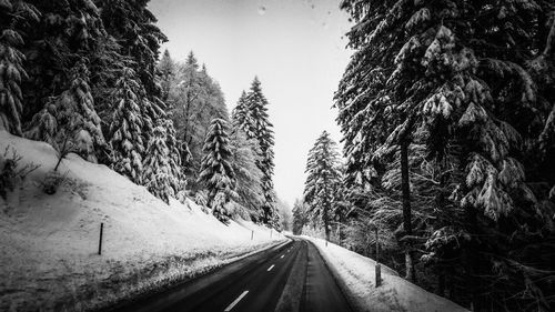 Road amidst trees against sky during winter