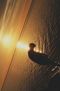 Close-up of silhouette plant against sea during sunset