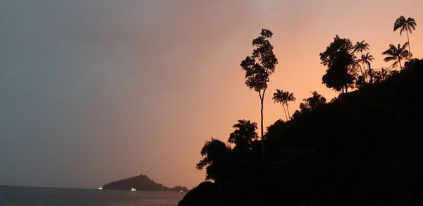 Silhouette tree by sea against sky during sunset