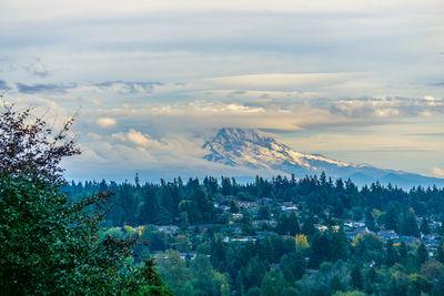 A blanked of clouds covers mount rainier in washington state.