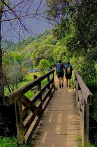 Full length of people walking on mountain