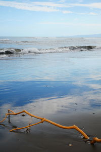 Driftwood on beach against sky