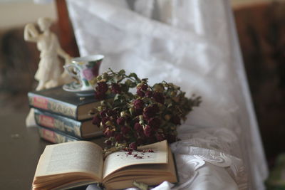 Close-up of woman holding book
