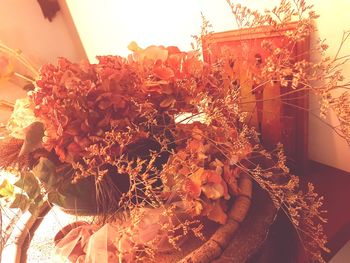 Low angle view of flowering plants by building against sky