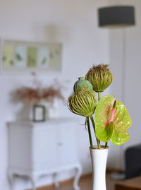 Close-up of plant on table at home
