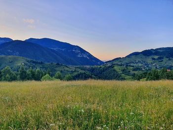 Scenic view of field against sky