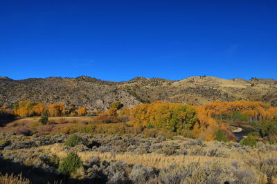 The ruby river running though trees that have turned to fall foliage colors.