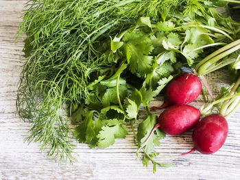 Directly above shot of radishes and herbs on wooden table