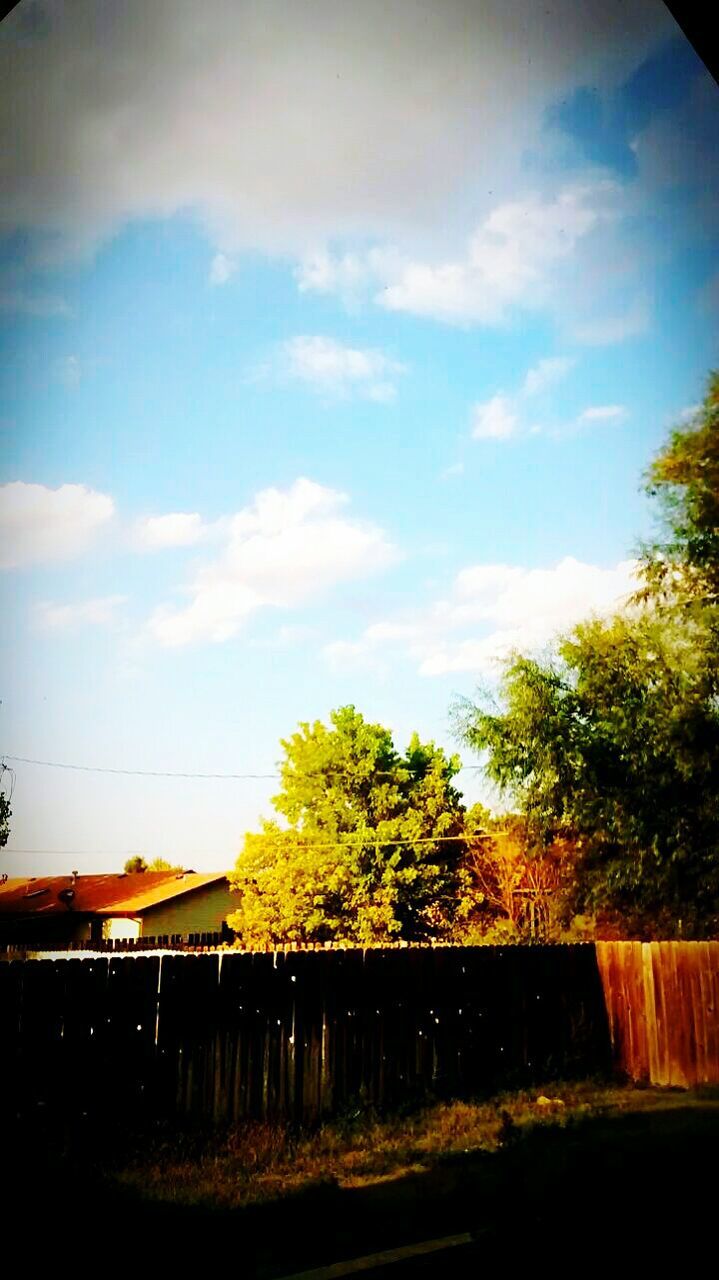 tree, sky, tranquility, tranquil scene, railing, connection, nature, cloud - sky, built structure, bridge - man made structure, beauty in nature, cloud, scenics, bridge, outdoors, growth, sunlight, no people, transportation, blue