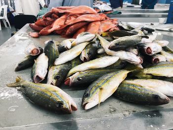 High angle view of fish for sale in market