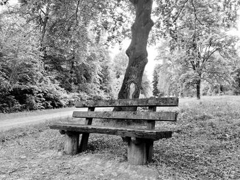 Empty bench in park