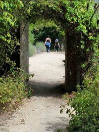 Rear view of woman standing by tree