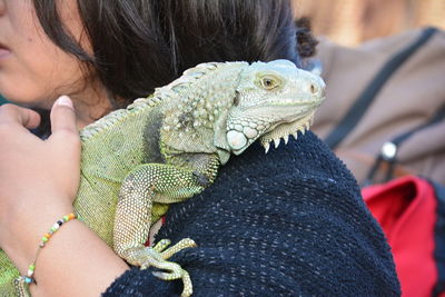 Close-up of woman holding iguana