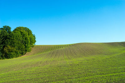 Scenic view of field against clear blue sky