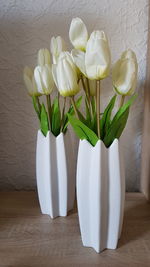 White tulpe 