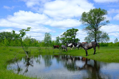 Scenic view of lake against cloudy sky