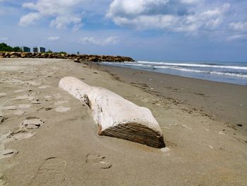 Surface level of driftwood on beach against sky