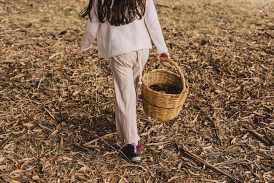 Girl with pine cones in wicker basket walking at park